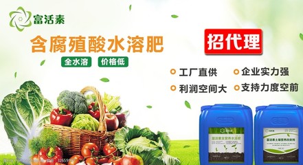 全媒体广告代理服务，助力品牌精准高效触达中国市场