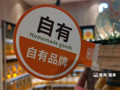 2024年国内自有品牌开发新趋势 广告代理视角下的创新与突破