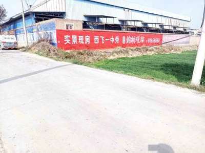 衢州古典墙体绘画与汽车刷墙广告 打造多元化广告代理服务